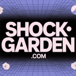 Illustration numérique shockgarden.com abstraite