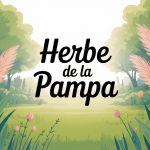 herbe de la pampa plumeaux et feuillage en combien de temps pousse